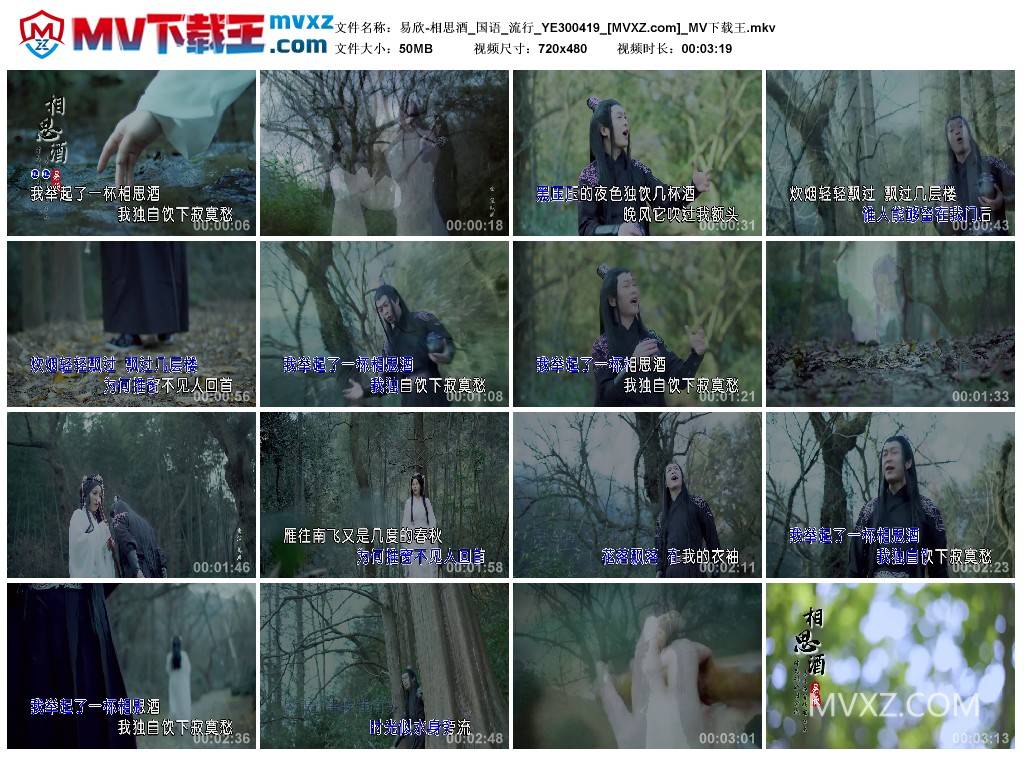易欣-相思酒_国语_流行_YE300419
